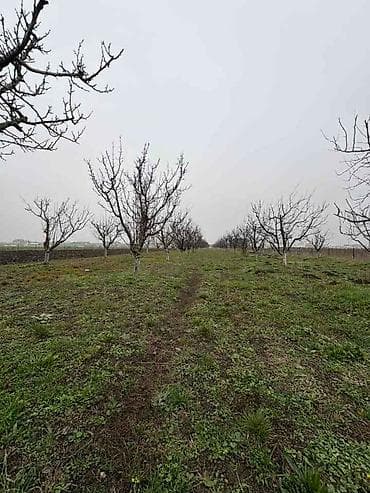 dve suknje po: Plac Ugrinovci centar, 110 ari + voćnjak Uknjižen 1/1 na ime vlasnika na lalafo.rs — 6 dve suknje po: Plac Ugrinovci centar, 110 ari + voćnjak Uknjižen 1/1 na ime vlasnika — 6