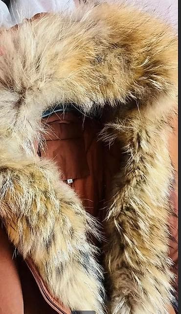 . Jakna S nova nošena par puta sa pravim krznom polarne lisice može se na lalafo.rs — 5 . Jakna S nova nošena par puta sa pravim krznom polarne lisice može se — 5