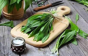 Vezica svežeg planinskog sremuša 50 din Minimalno za porudžbinu 10 na lalafo.rs Vezica svežeg planinskog sremuša 50 din Minimalno za porudžbinu 10