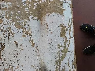 Libela Horizont 30 cm 1.300 din na lalafo.rs — 2 Libela Horizont 30 cm 1.300 din — 2