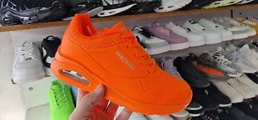 Skechers patike neon bje
Novo
Brojevi 36 do 41
fb Moja Kupovina 1 na lalafo.rs — 1 Skechers patike neon bje
Novo
Brojevi 36 do 41
fb Moja Kupovina 1 — 1