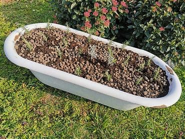 Unikatna žardinjera kada retro odvod ruzmarin i lavanda tek na lalafo.rs Unikatna žardinjera kada retro odvod ruzmarin i lavanda tek