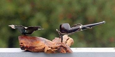 cepaci za drva: Stara pepeljara sa dva držača za lule na drvenom postolju. Stara na lalafo.rs — 5 cepaci za drva: Stara pepeljara sa dva držača za lule na drvenom postolju. Stara — 5