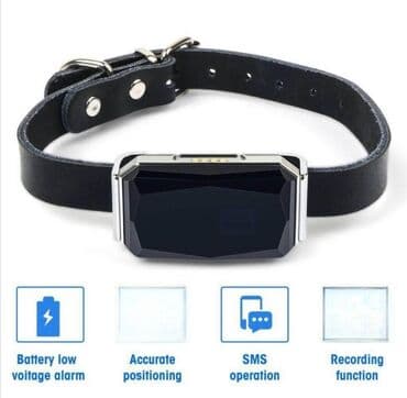 🐾 Ogrlica sa GPS Lokatorom za Vašeg Ljubimca Ova GPS ogrlica za kućne na lalafo.rs 🐾 Ogrlica sa GPS Lokatorom za Vašeg Ljubimca Ova GPS ogrlica za kućne