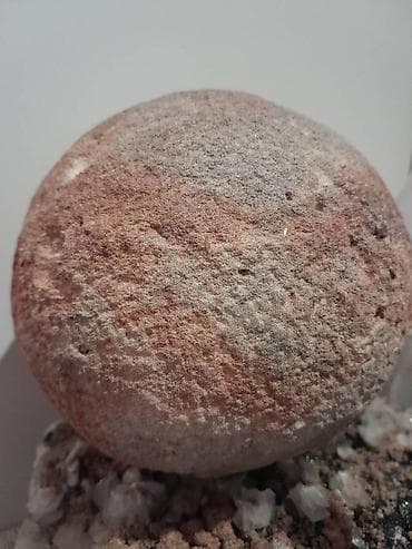 Srednjevekovno topovsko djule. Fantastičan kolekcionarski predmet na lalafo.rs — 5 Srednjevekovno topovsko djule. Fantastičan kolekcionarski predmet — 5