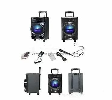 Karaoke Bluetooth zvučnik – BiNKO BK-800 Moćan, prenosiv i potpuno na lalafo.rs — 1 Karaoke Bluetooth zvučnik – BiNKO BK-800 Moćan, prenosiv i potpuno — 1