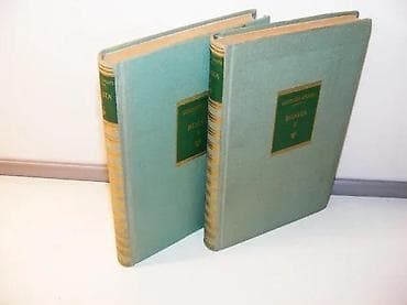 Vileta 1-2 Šarlota BronteIzdavac narodna knjiga Cetinje 1956tvrd povez na lalafo.rs Vileta 1-2 Šarlota BronteIzdavac narodna knjiga Cetinje 1956tvrd povez