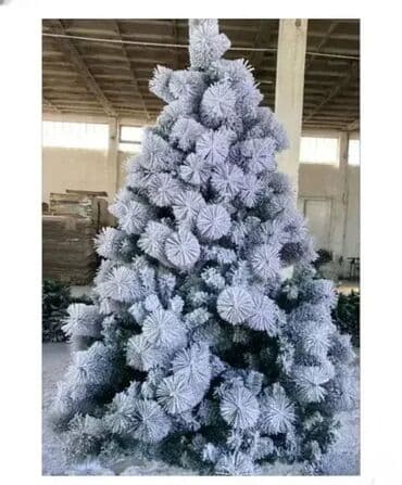 Jelka, Novo na lalafo.rs Jelka, Novo