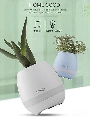 Vases and pots: Pametna muzička saksija – Bluetooth zvučnik, „touch piano“ i LED noćno at lalafo.rs — 5 Vases and pots: Pametna muzička saksija – Bluetooth zvučnik, „touch piano“ i LED noćno — 5