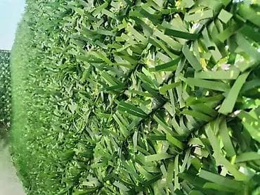 Ograda od pvc trave 950 din na lalafo.rs — 10 Ograda od pvc trave 950 din — 10