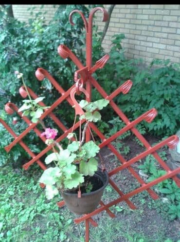 Coal and wood: Kovani stalak za cveće,zabada se u zemljuprenosiv,na njega može se at lalafo.rs — 3 Coal and wood: Kovani stalak za cveće,zabada se u zemljuprenosiv,na njega može se — 3