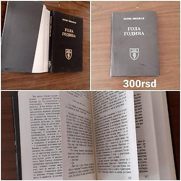 Knjiga: Gola godina – Boris Pilnjak - Izdavač: Mali pečat (oznaka na lalafo.rs — 1 Knjiga: Gola godina – Boris Pilnjak - Izdavač: Mali pečat (oznaka — 1