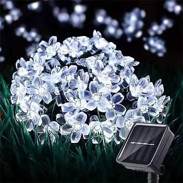 Solarne lampice
Cvet i pcele solarne
5m
Cena: 2400din v na lalafo.rs — 7 Solarne lampice
Cvet i pcele solarne
5m
Cena: 2400din v — 7
