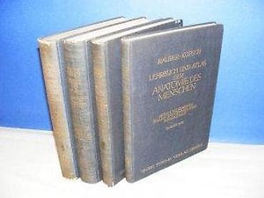 Rauber-Kopsch 1-4Lehrbuch und Atlas der Anatomie des Menschen na lalafo.rs — 8 Rauber-Kopsch 1-4Lehrbuch und Atlas der Anatomie des Menschen — 8