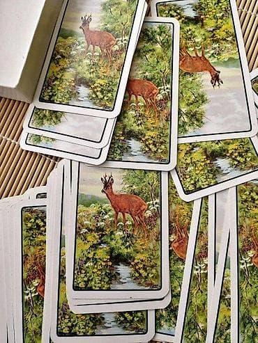 dve suknje po: Lovači Tarot Jagd Tarock Piatnik ORIGINAL. Original Piatnik 1905 Jagd at lalafo.rs — 8 dve suknje po: Lovači Tarot Jagd Tarock Piatnik ORIGINAL. Original Piatnik 1905 Jagd — 8