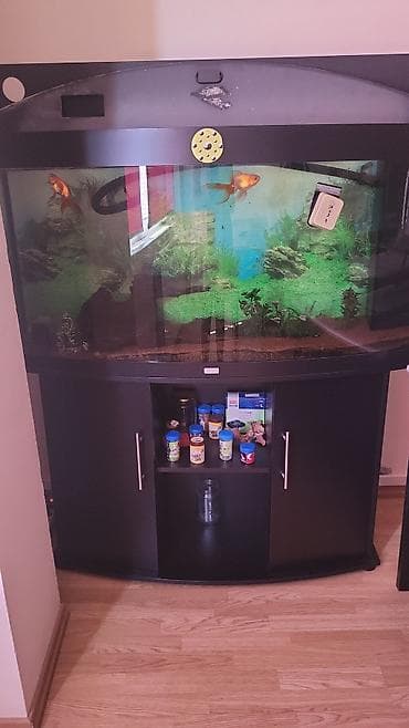 JUWEL akvarijum sa ribicama i stalkom at lalafo.rs JUWEL akvarijum sa ribicama i stalkom