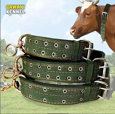 Industrijski kaiš za stoku – Cawayi Kennel - Robustan, višeslojni at lalafo.rs — 1 Industrijski kaiš za stoku – Cawayi Kennel - Robustan, višeslojni — 1