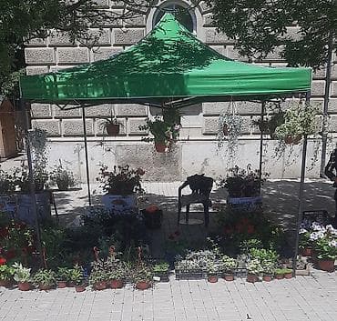 Tenda 3x3 metra novo paviljon harmonika akcija cene nisu fiksne na lalafo.rs — 6 Tenda 3x3 metra novo paviljon harmonika akcija cene nisu fiksne — 6