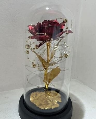 RUZA sa led diodama u staklenoj kupoli-Lepotica i zver ruza
🥰🎁😍 na lalafo.rs — 2 RUZA sa led diodama u staklenoj kupoli-Lepotica i zver ruza
🥰🎁😍 — 2