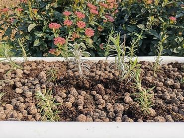 Maintenance devices: Unikatna žardinjera kada retro odvod ruzmarin i lavanda tek at lalafo.rs — 2 Maintenance devices: Unikatna žardinjera kada retro odvod ruzmarin i lavanda tek — 2