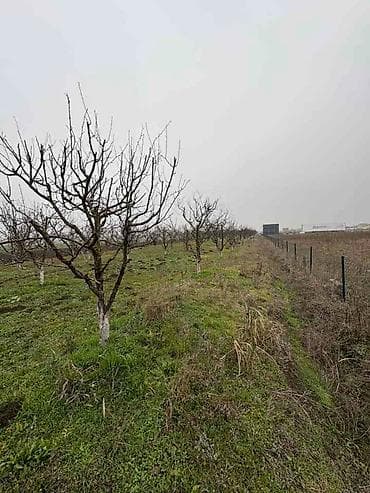 dve suknje po: Plac Ugrinovci centar, 110 ari + voćnjak Uknjižen 1/1 na ime vlasnika na lalafo.rs — 7 dve suknje po: Plac Ugrinovci centar, 110 ari + voćnjak Uknjižen 1/1 na ime vlasnika — 7