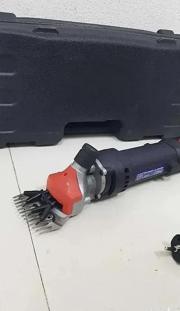 Нова и веома квалитетна Аку лисичарка ✅ - Марка: Makute. - Две na lalafo.rs — 2 Нова и веома квалитетна Аку лисичарка ✅ - Марка: Makute. - Две — 2