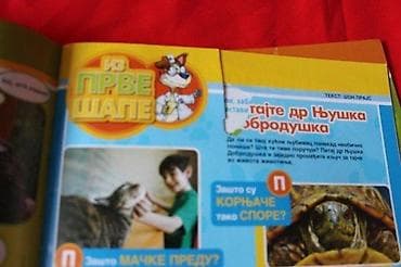 NATIONAL GEOGRAPHIC JUNIOR 31 | National Geographic Junior broj 31 at lalafo.rs — 6 NATIONAL GEOGRAPHIC JUNIOR 31 | National Geographic Junior broj 31 — 6