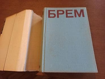 BREM Kako žive životinje Dobro očuvana knjiga iz 1967g. Izdavač na lalafo.rs BREM Kako žive životinje Dobro očuvana knjiga iz 1967g. Izdavač