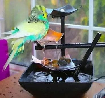 Relax fontana sa kamenčićima Moderan dizajn stone fontane donosi na lalafo.rs — 1 Relax fontana sa kamenčićima Moderan dizajn stone fontane donosi — 1