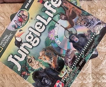 pantalone butiku ali: Dve kutije interaktivne igre Jungle life, sa pionima, tablama, dvd i na lalafo.rs — 1 pantalone butiku ali: Dve kutije interaktivne igre Jungle life, sa pionima, tablama, dvd i — 1