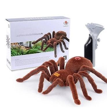 Plišana tarantula na daljinsko upravljanje. plišana tarantula na na lalafo.rs — 1 Plišana tarantula na daljinsko upravljanje. plišana tarantula na — 1