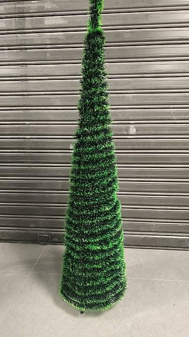 Kupasta jelka – više dimenzija Prodajem prelepe kupaste jelke na lalafo.rs — 2 Kupasta jelka – više dimenzija Prodajem prelepe kupaste jelke — 2