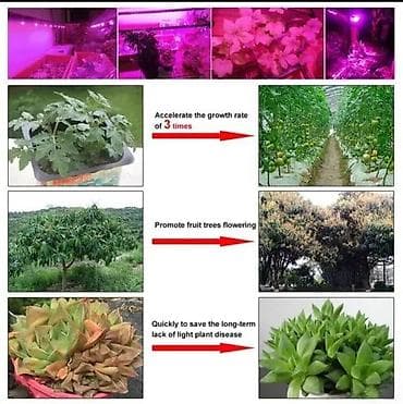 Led dioda za reflektor na 220v sijalica za reflektor. LED dioda za na lalafo.rs — 9 Led dioda za reflektor na 220v sijalica za reflektor. LED dioda za — 9