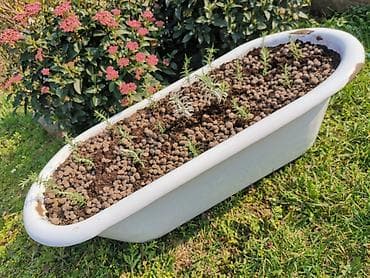 Unikatna žardinjera kada retro odvod ruzmarin i lavanda tek na lalafo.rs Unikatna žardinjera kada retro odvod ruzmarin i lavanda tek