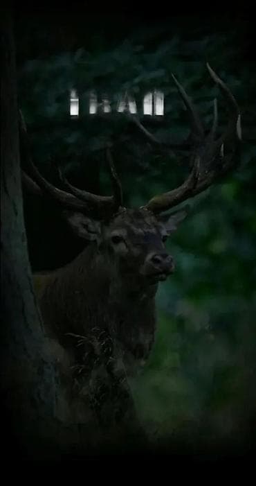 Kamera 4G SIM GPS Lovačka Solarna dual camera 30mpx. 8MP Trail Camera na lalafo.rs — 2 Kamera 4G SIM GPS Lovačka Solarna dual camera 30mpx. 8MP Trail Camera — 2