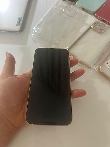 Apple iPhone (serija Pro) – svetlo zlatna/šampanj boja - Kućište sa na lalafo.rs — 8 Apple iPhone (serija Pro) – svetlo zlatna/šampanj boja - Kućište sa — 8