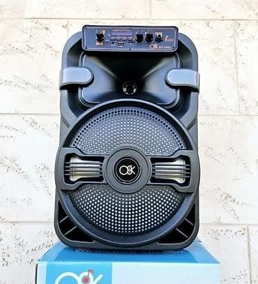 Bluetooth zvučnik karaoke zvučnik 10 inča BT-1002 Cena 5500 dinara - at lalafo.rs — 1 Bluetooth zvučnik karaoke zvučnik 10 inča BT-1002 Cena 5500 dinara - — 1