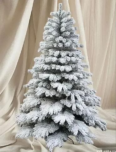 Velika novogodisnja jelka s8ra 150cm. velika novogodisnja jelka s8ra na lalafo.rs — 1 Velika novogodisnja jelka s8ra 150cm. velika novogodisnja jelka s8ra — 1