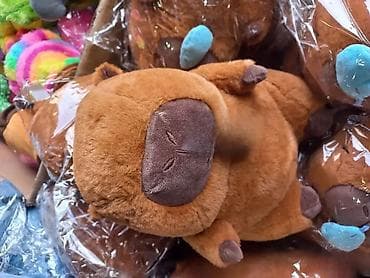 Kapibara Plišana Igračka Savršen poklon za porodicu i prijatelje! 🎁🧸 at lalafo.rs — 1 Kapibara Plišana Igračka Savršen poklon za porodicu i prijatelje! 🎁🧸 — 1