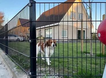 Panel 2D 0.83 x 2.50m – 6/5/6 mm – Cink + PVC 🎉 Akcijska cena na lalafo.rs — 3 Panel 2D 0.83 x 2.50m – 6/5/6 mm – Cink + PVC 🎉 Akcijska cena — 3