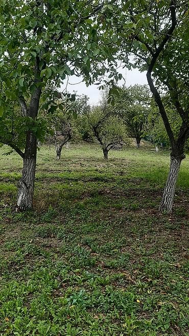 Građevinsko zemljište 1.078 m2 – Sovljak, 2 km od Velike Remete (3 km na lalafo.rs — 5 Građevinsko zemljište 1.078 m2 – Sovljak, 2 km od Velike Remete (3 km — 5