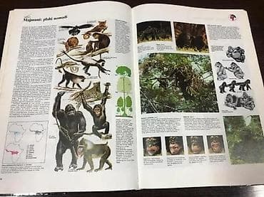 prsluk jaknica mango u: Veliki atlas životinja – Mladinska knjiga Ilustrovani enciklopedijski at lalafo.rs — 6 prsluk jaknica mango u: Veliki atlas životinja – Mladinska knjiga Ilustrovani enciklopedijski — 6