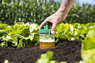 Windhager Schneckenfallen DUO – zamke za puževe (set 2 kom) - na lalafo.rs Windhager Schneckenfallen DUO – zamke za puževe (set 2 kom) -