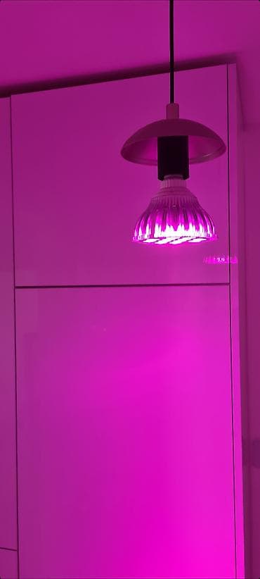 Prodajem polovnu, samo isprobanu sijalicu sa postavljenih slika. Možda na lalafo.rs — 2 Prodajem polovnu, samo isprobanu sijalicu sa postavljenih slika. Možda — 2