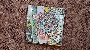 za svaki dan: Lot singl gramofonskih ploča (7”/45 rpm) domaće produkcije - Ana at lalafo.rs — 6 za svaki dan: Lot singl gramofonskih ploča (7”/45 rpm) domaće produkcije - Ana — 6