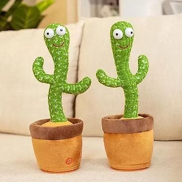 Kaktus koji pleše na lalafo.rs — 3 Kaktus koji pleše — 3