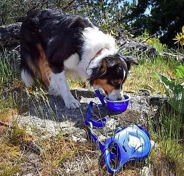 prsluk jaknica mango u: Povodac za pse sa posudom za vodu - Akcija 🐕💧 Uživajte u šetnji i ne at lalafo.rs — 3 prsluk jaknica mango u: Povodac za pse sa posudom za vodu - Akcija 🐕💧 Uživajte u šetnji i ne — 3