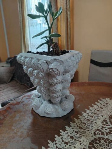 Saksija, bоја - Bela, Novo na lalafo.rs Saksija, bоја - Bela, Novo