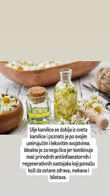 VANJA Cosmetics – Aloe Vera krema za lice Prirodna hidratantna krema na lalafo.rs — 4 VANJA Cosmetics – Aloe Vera krema za lice Prirodna hidratantna krema — 4
