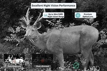 igrice za ps3: Kvalitetna lovačka kamera i video nadzor - Meidase; Model: P100; na lalafo.rs — 3 igrice za ps3: Kvalitetna lovačka kamera i video nadzor - Meidase; Model: P100; — 3